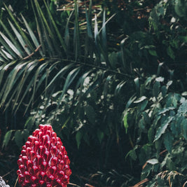 PIGNA • Rosso Etna • H20 - Crita Ceramiche di Caltagirone